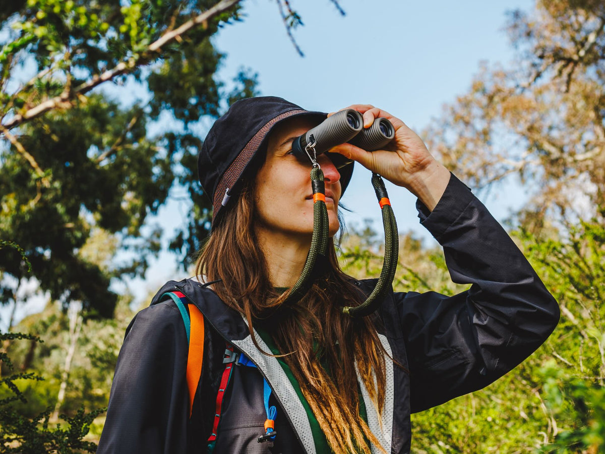 More Than a Hobby: How Birdwatching Becomes Part of How We Live