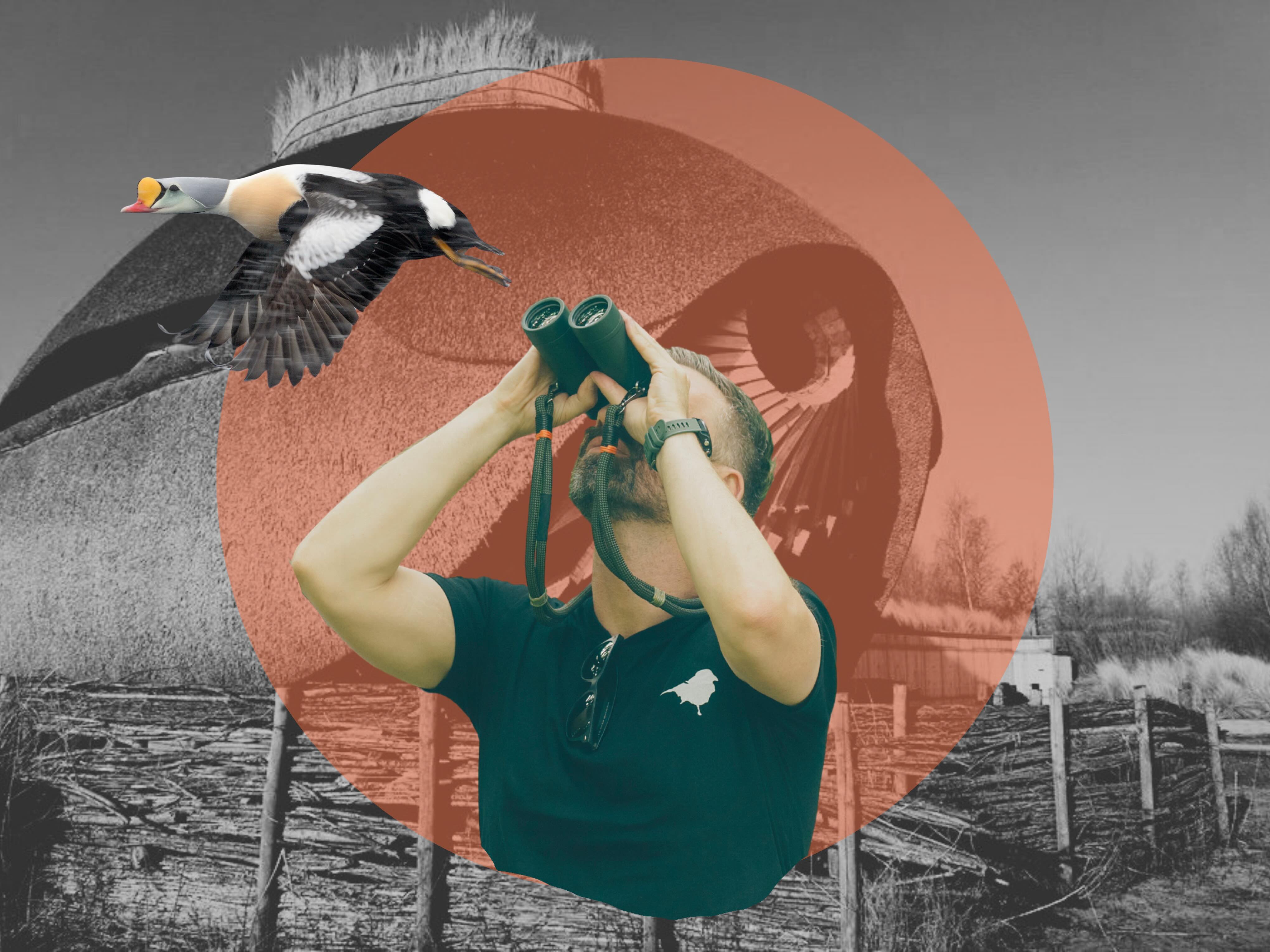 Collage of Bird Watcher and a Bird hide in the background