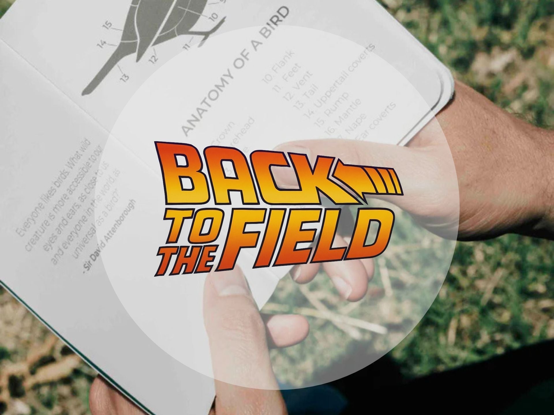 Back to the Field - A Lyfer Initiative: Community & Getting Back to Basics