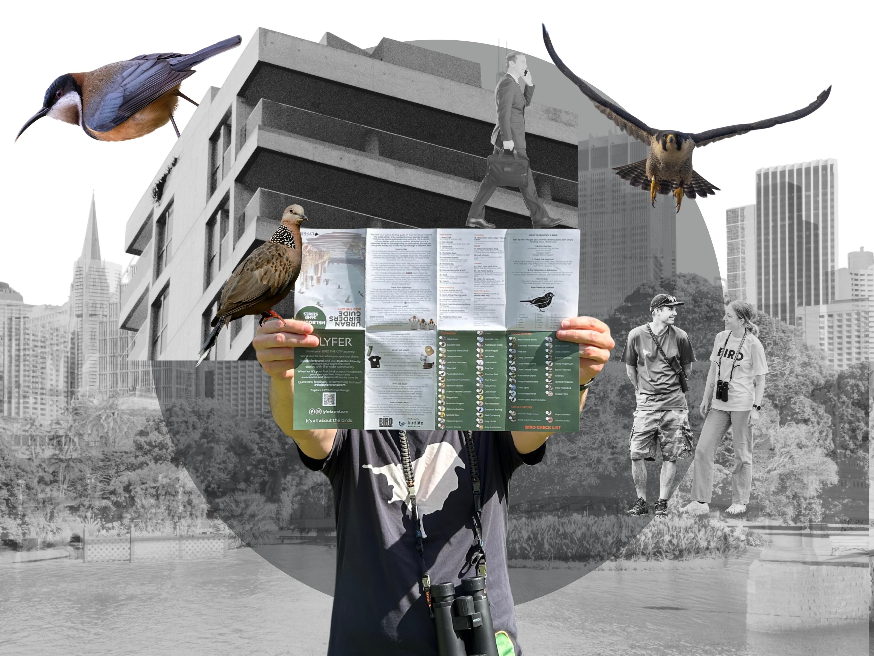 Collage hero image of bird-watcher with urban birders guide by Lyfer with a peregrine falcon and eastern spinebill, spotted dove set against the city background of melbourne and sydney.
