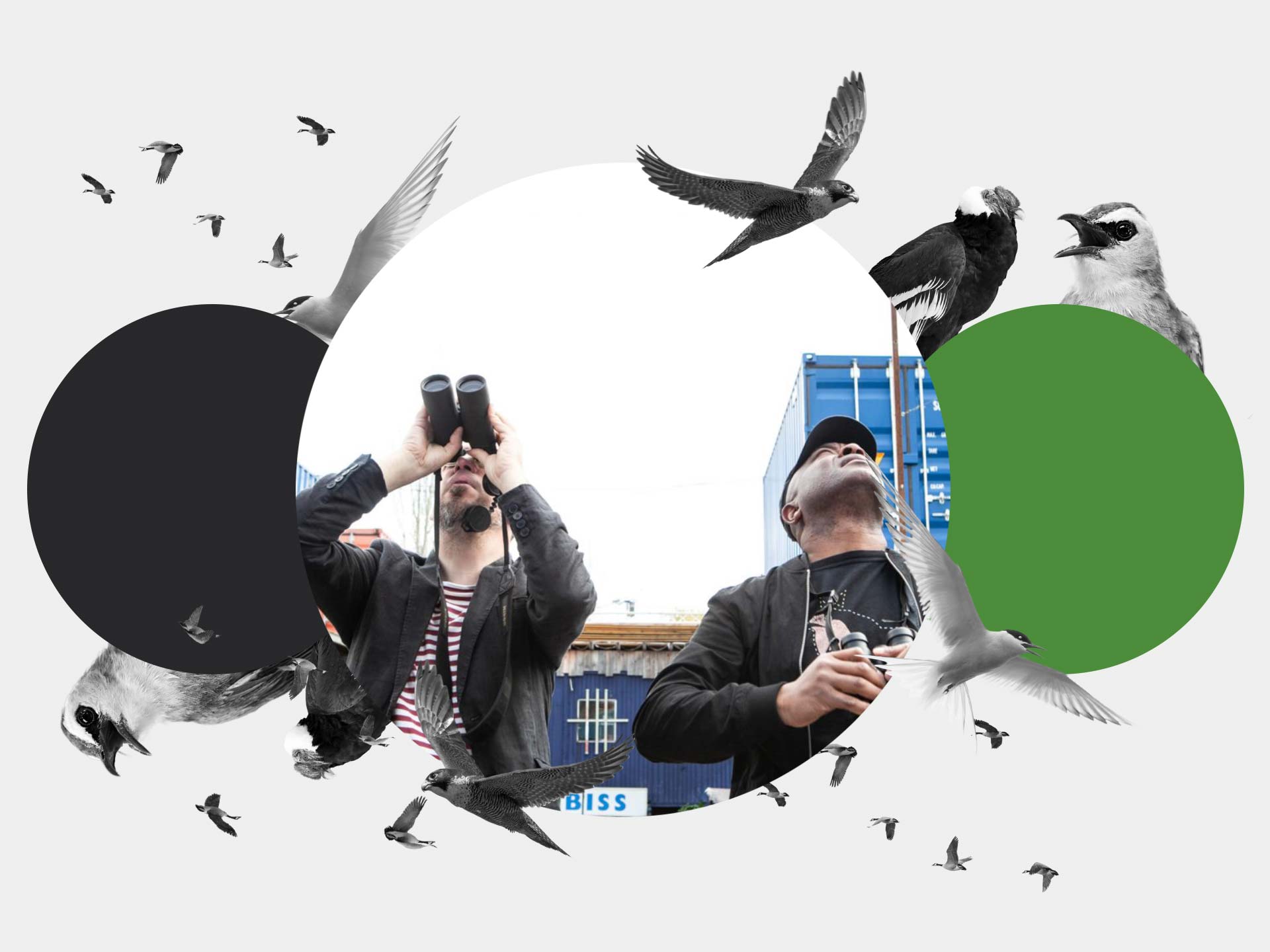 Cover page of The Modern Age of Birding