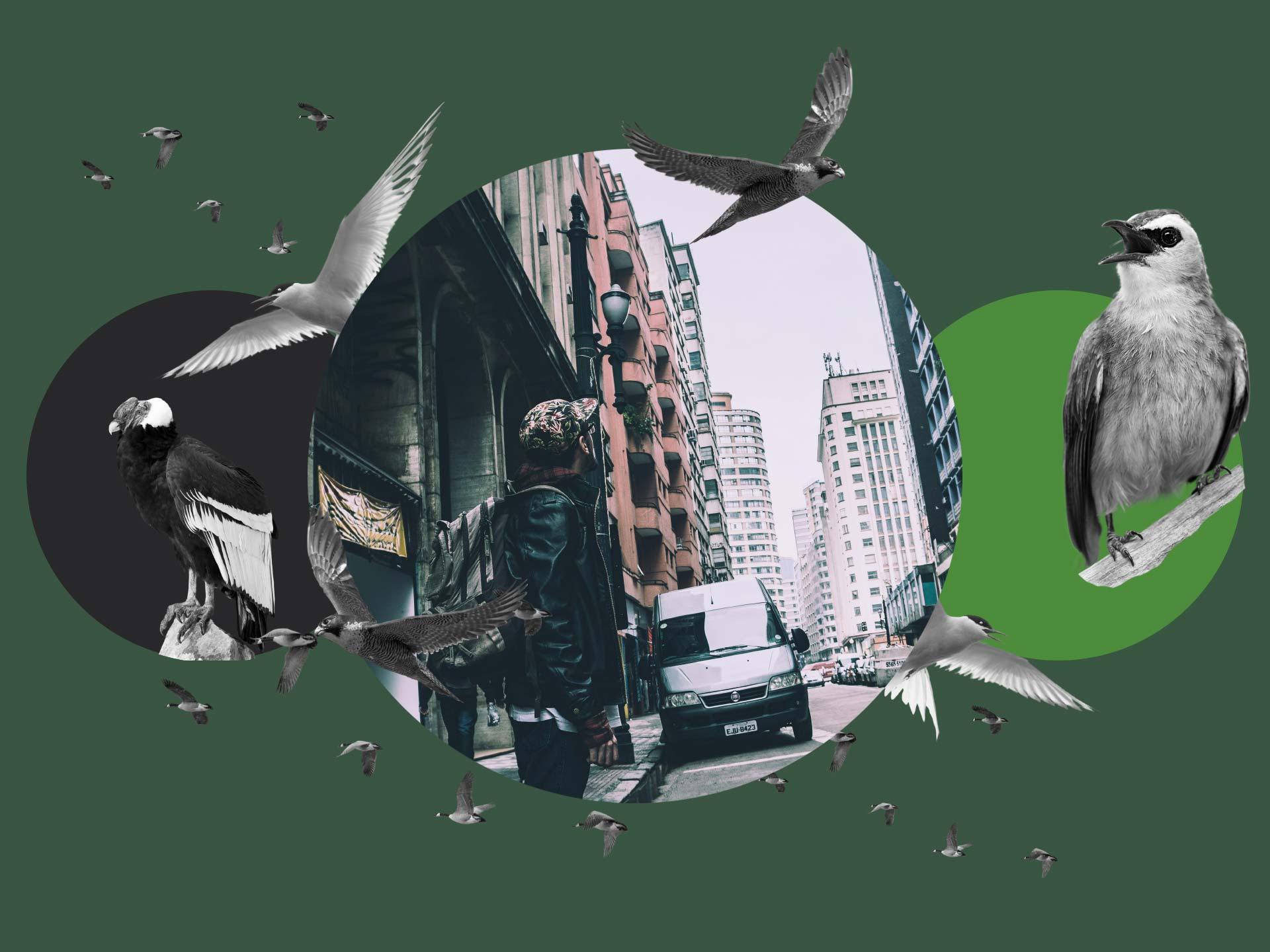 Front Cover of Our Calling Avian Journal