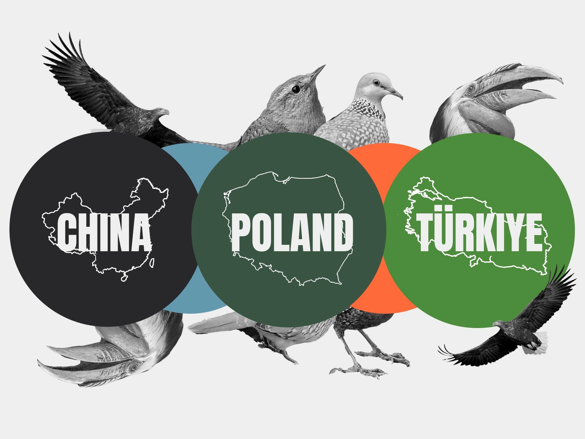 Banner Image of 3 country manufacturers we work with at Lyfer Ethical Brand