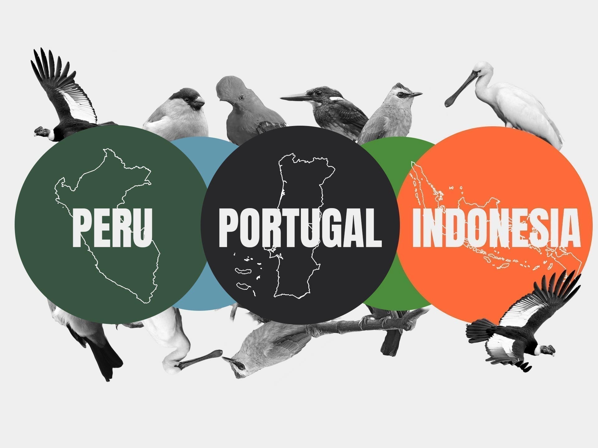 Ethical birding clothing - Image of the 3 countries we are looking at birds from
