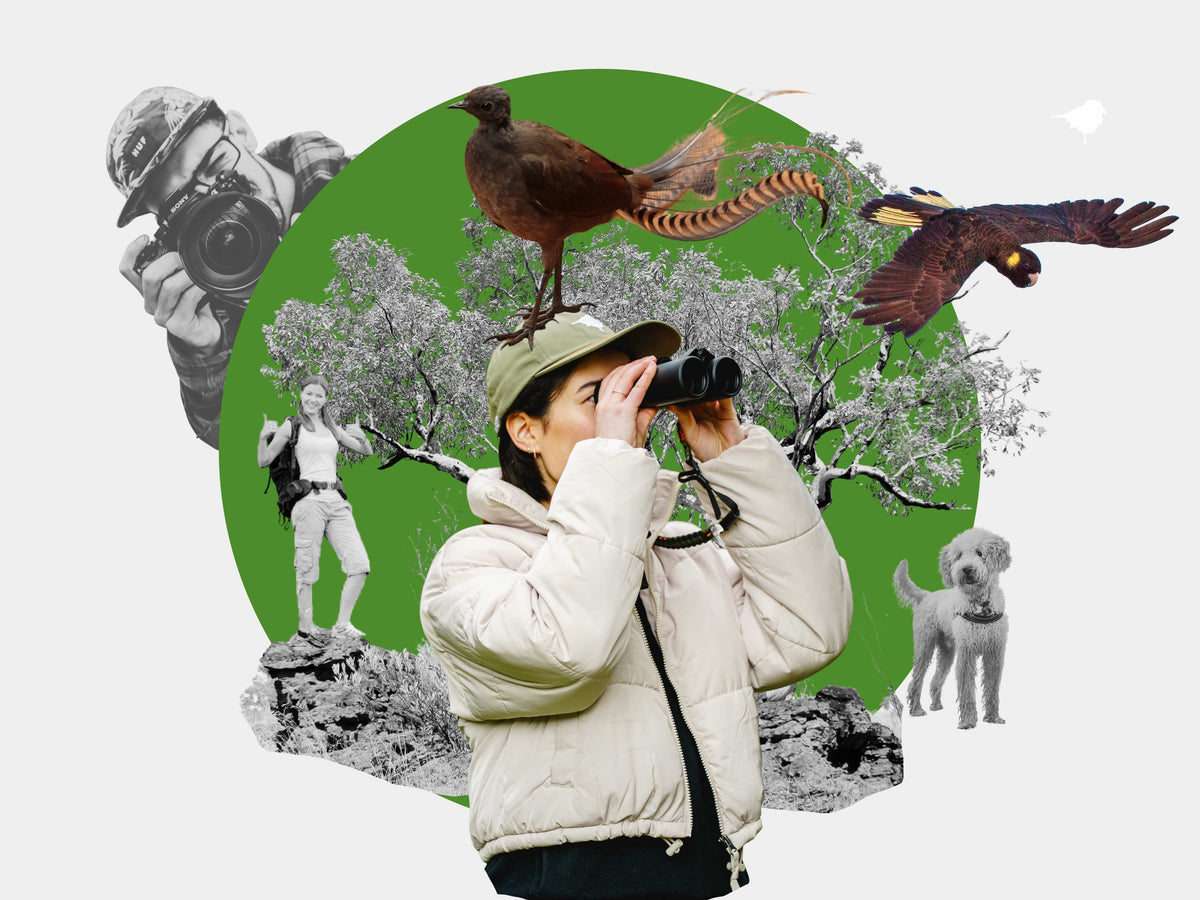 Vol. 03 - How NOT to bird. Pardon Me, Bird Etiquette!