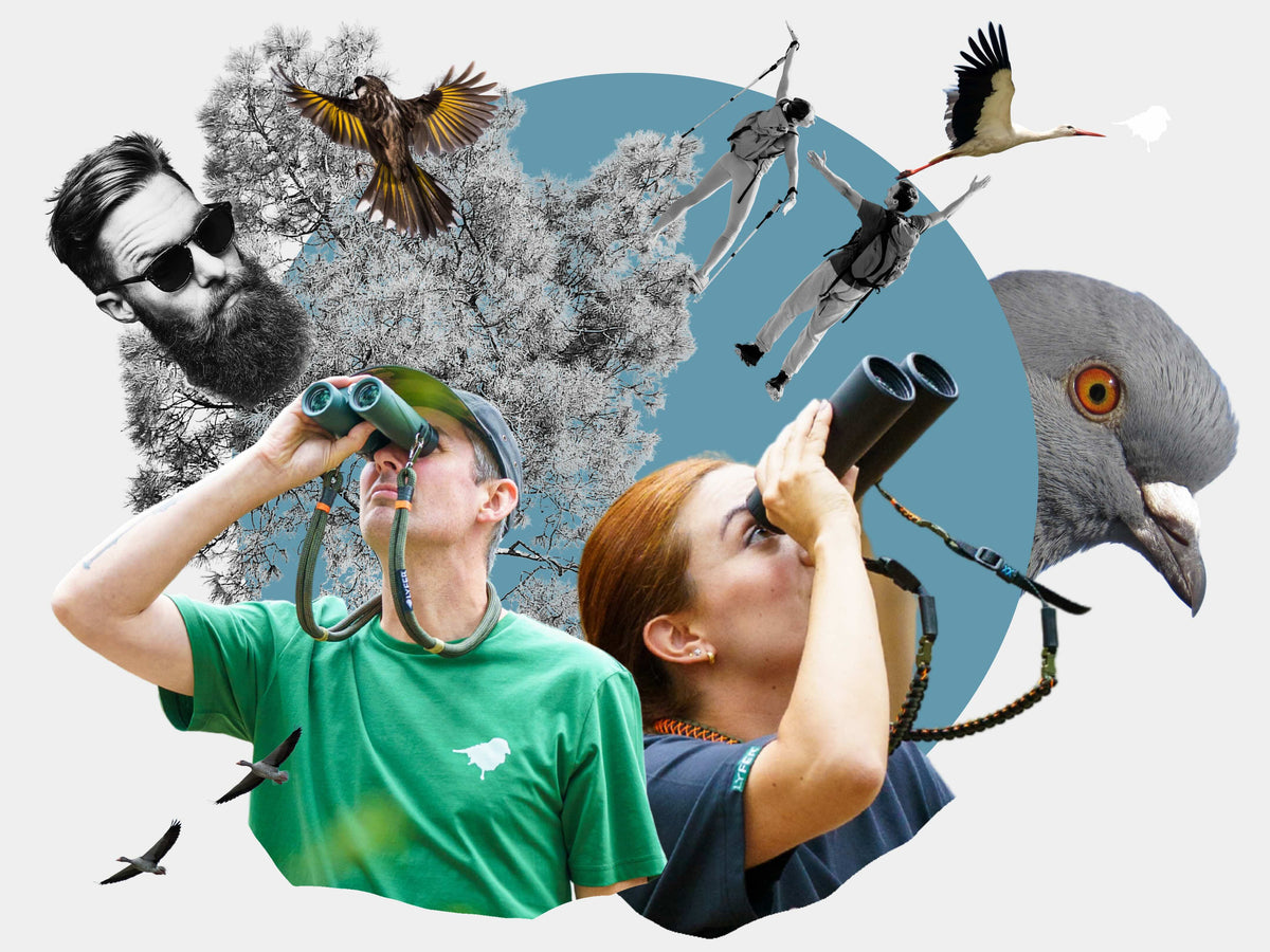Vol. 02 - How do you Bird? (Without Feeling Like You’re Doing It Wrong