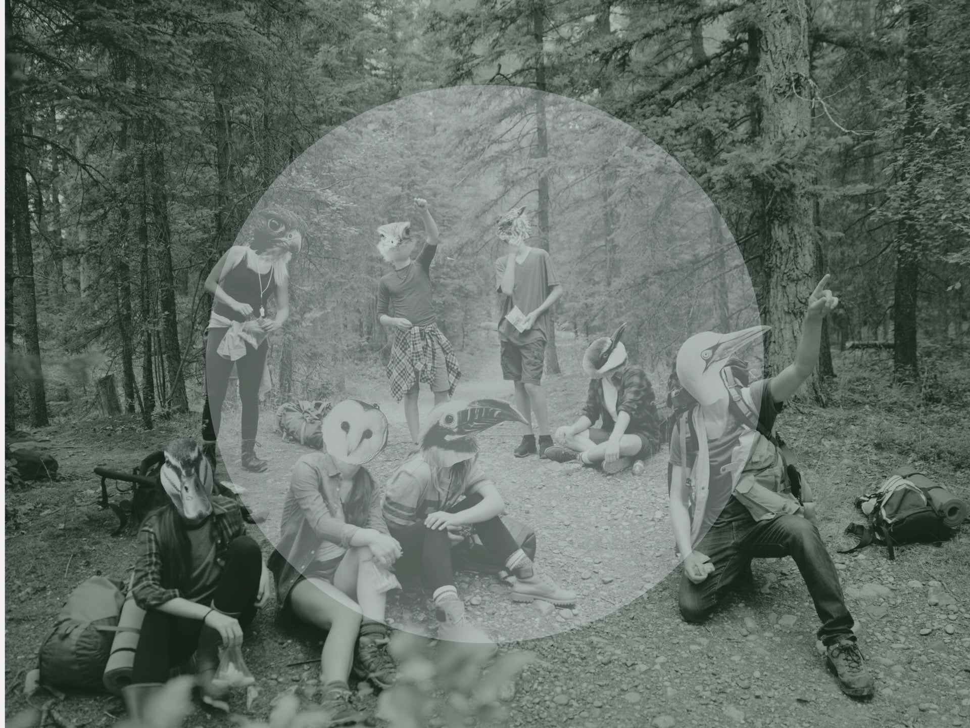 Birders in the forest with Bird heads