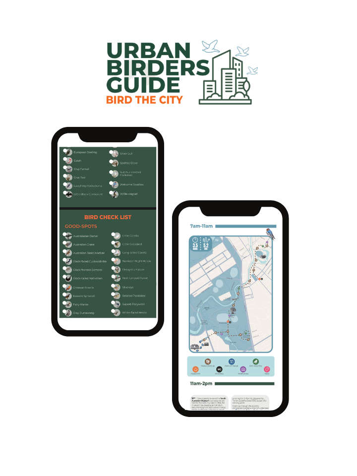 Image of urban birding guide set inside a mobile phone