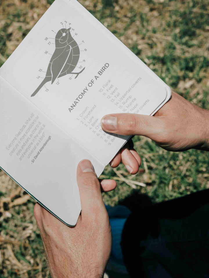 The Lyfer Field notepad for birders includes the anatomy of the bird graphic to help those beginner birders get their observations down right! Birdwatching gear – great gift for bird lovers in Australia