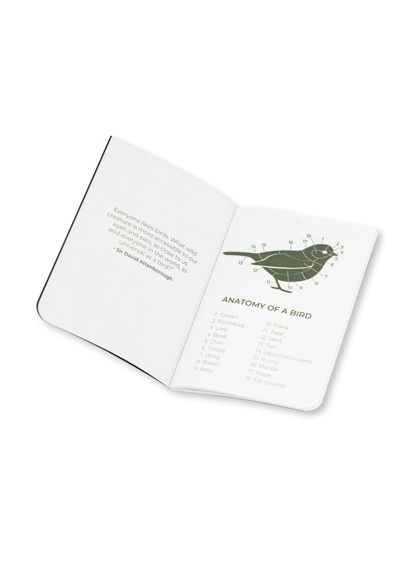 Field Stone Paper Notepad