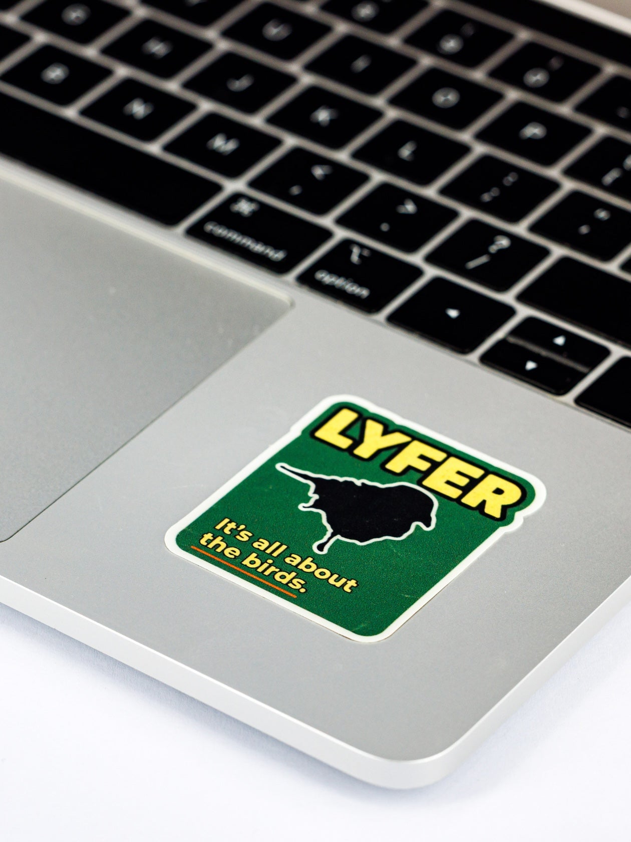 Sticker with 'LYFER' design on a laptop