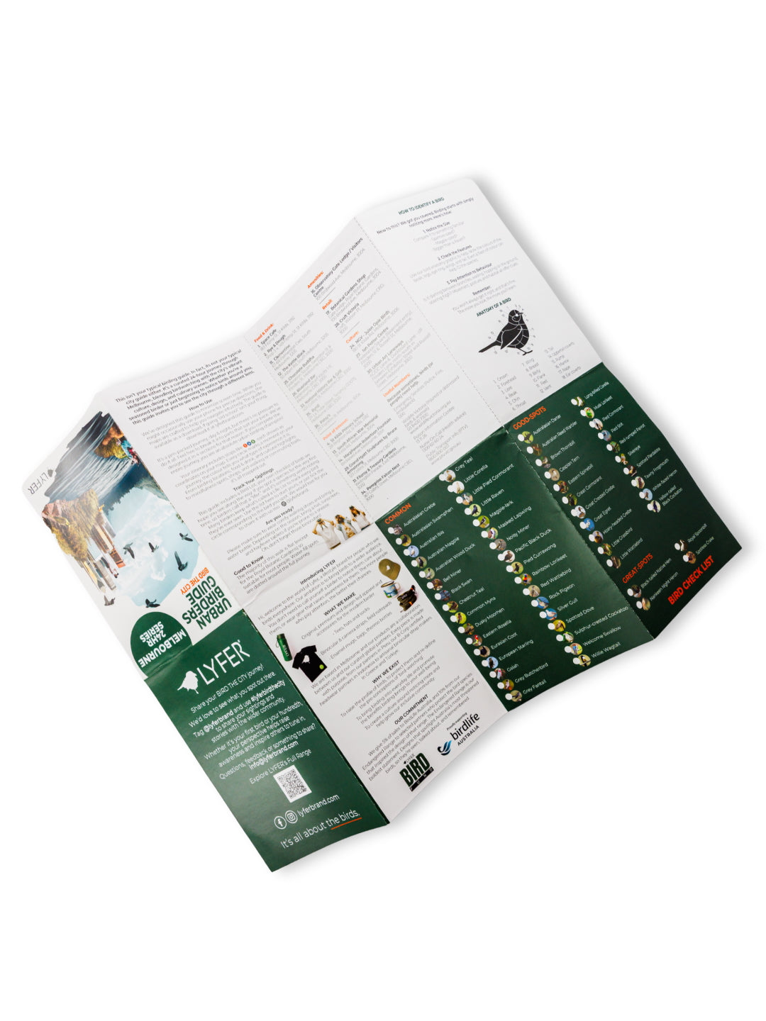 bird guide of melbourne showing the bird checklist and bird anatomy