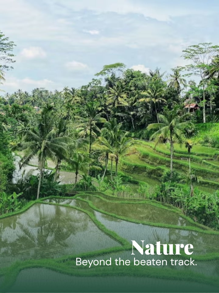 Landscape photograph of lush green rice terraces and palm trees under a cloudy sky, with the text 'Nature Beyond the beaten track.' overlaid in the lower right.