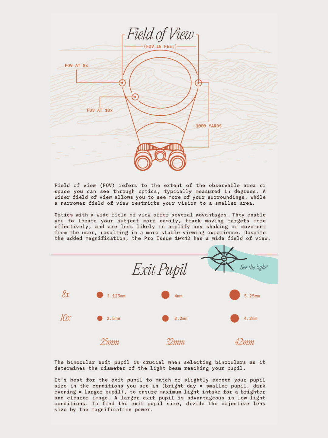 An image of the binocular anatomy, showing high and low magnification.