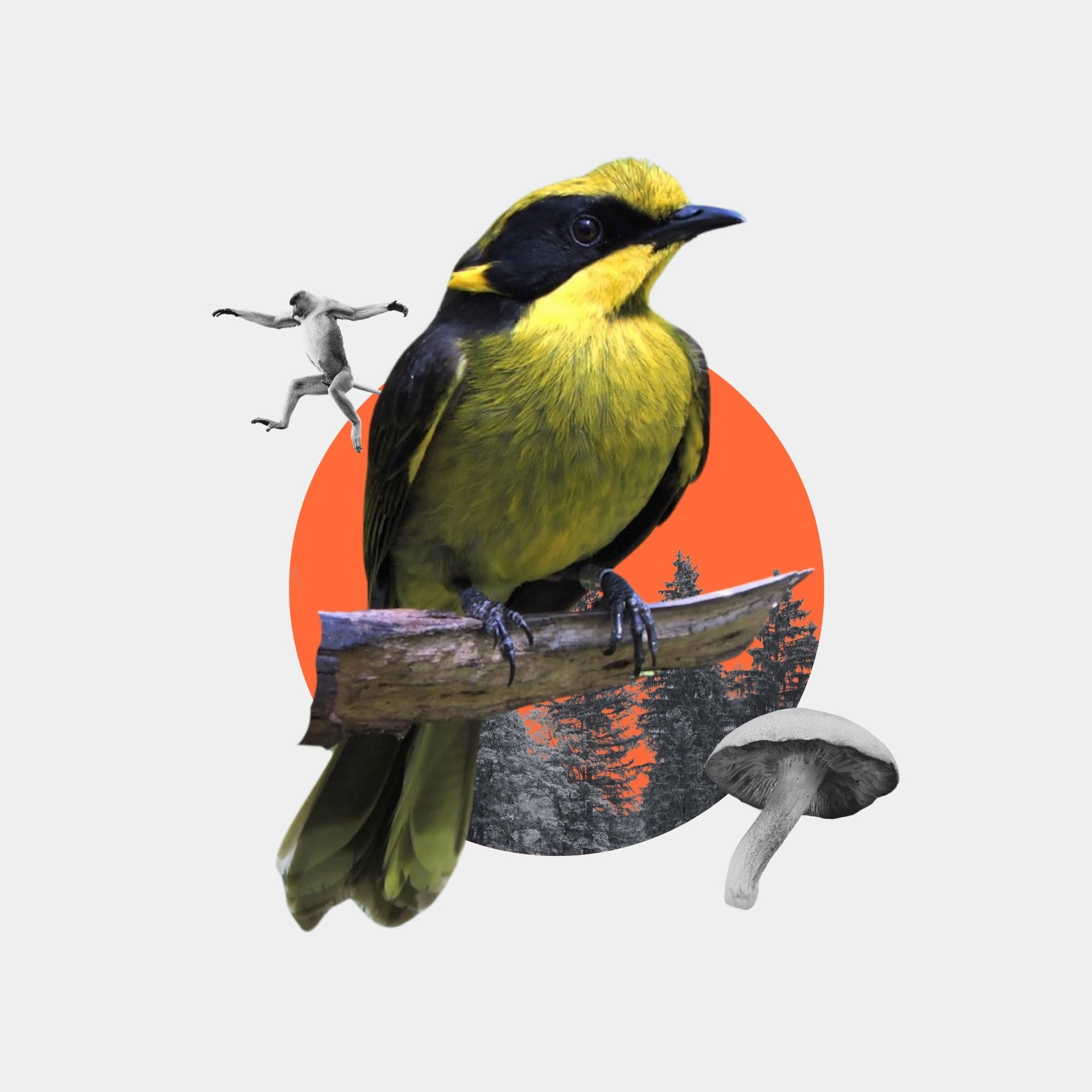 Yellow bird on a branch with a red circle and abstract elements in the background