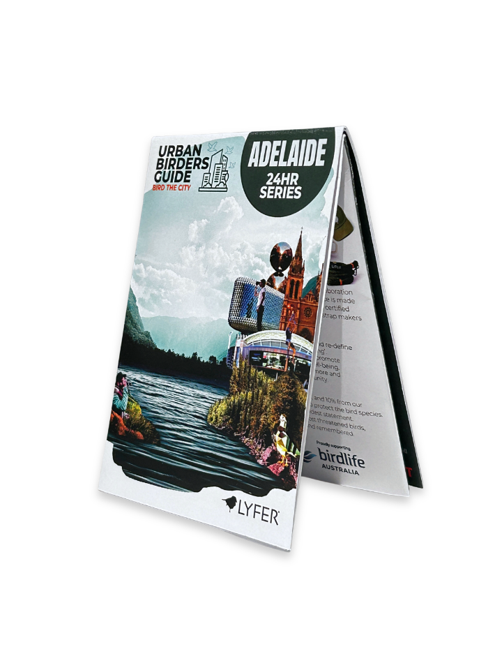 Birding Guide for Adelaide city by LYFER