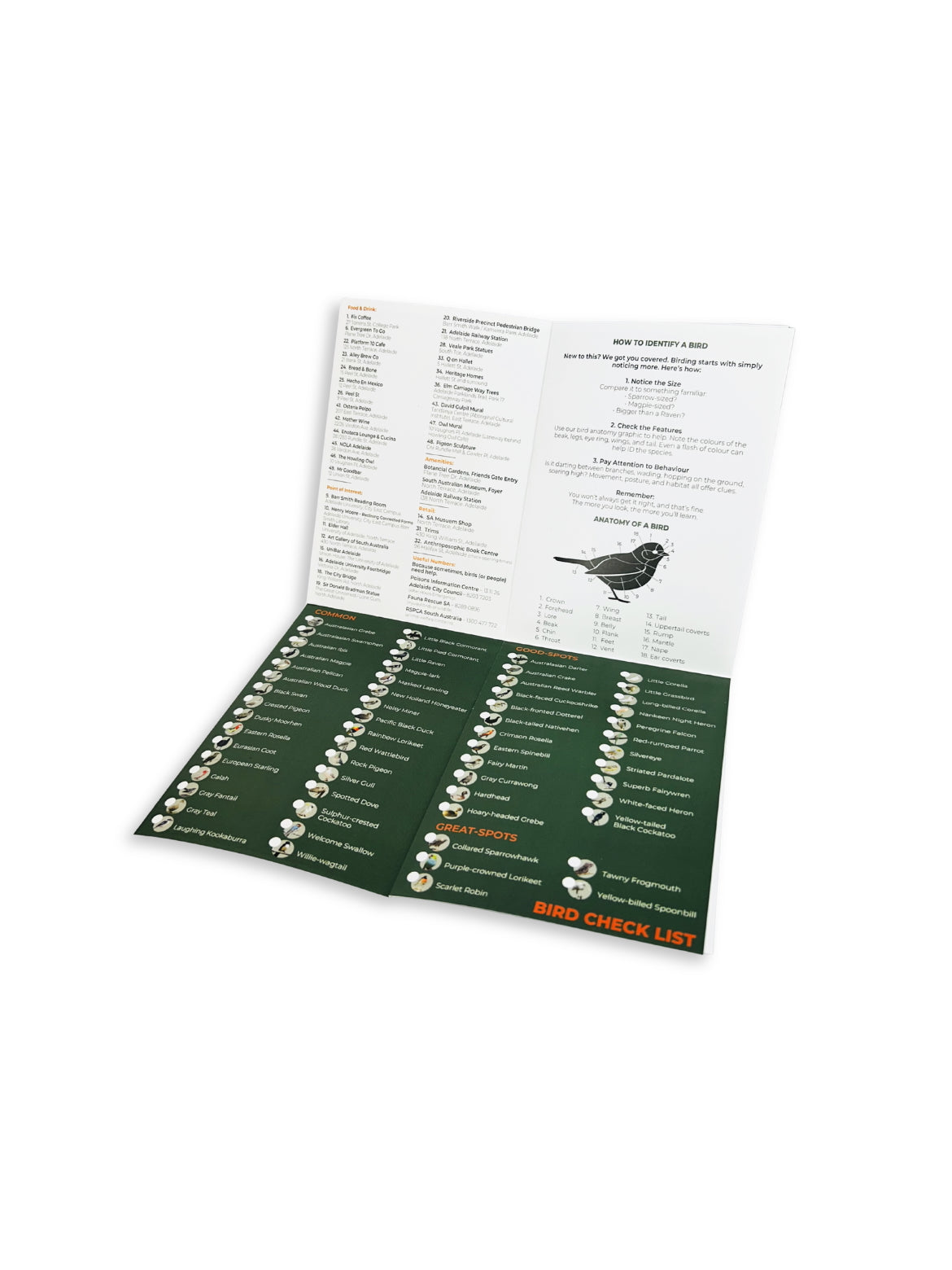 Urban Birders Guide – Bird the City: Adelaide (Printed Edition)