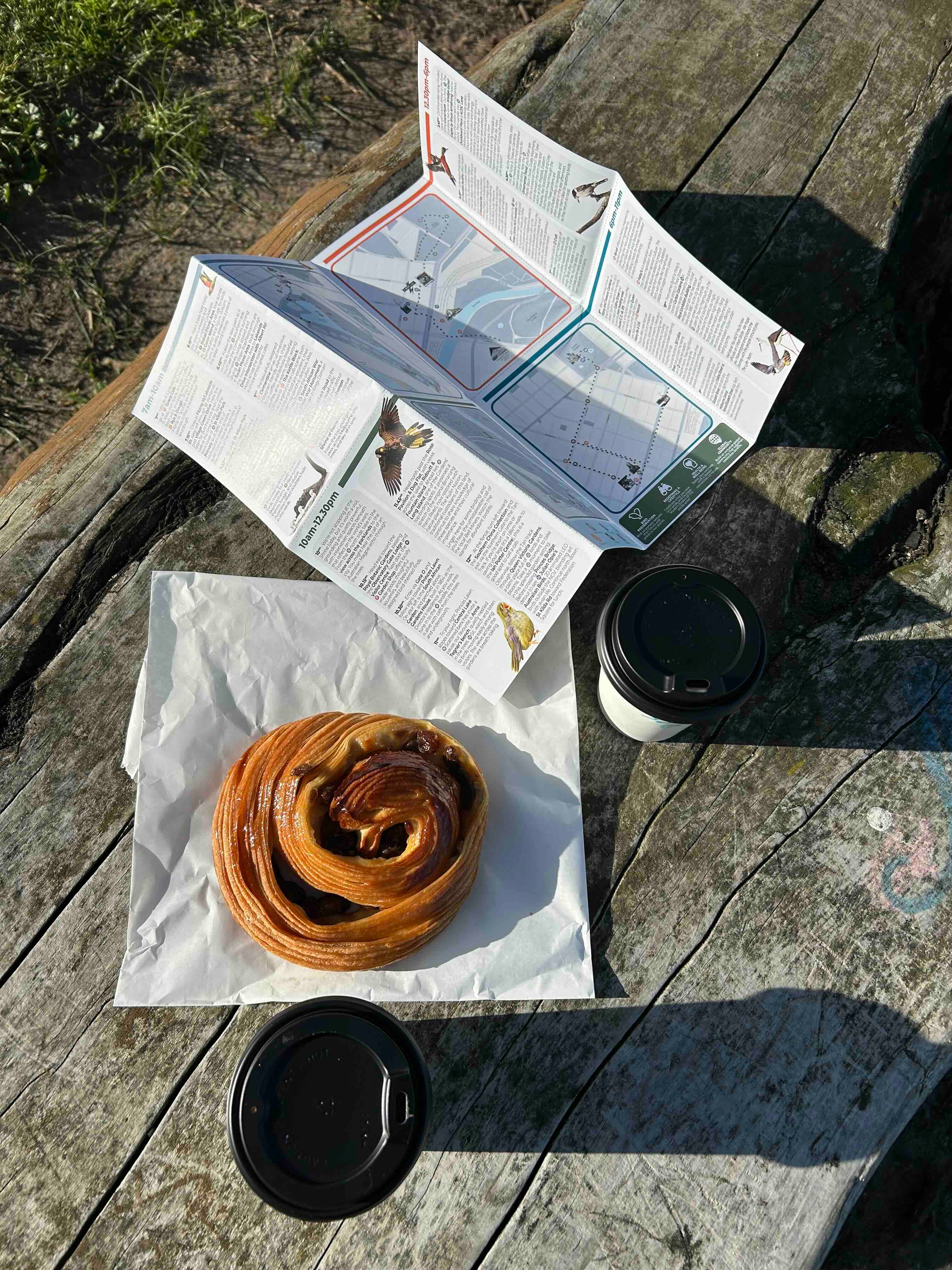 Bun and coffee cups on a wooden surface with melbourne bird the city guide underneath
