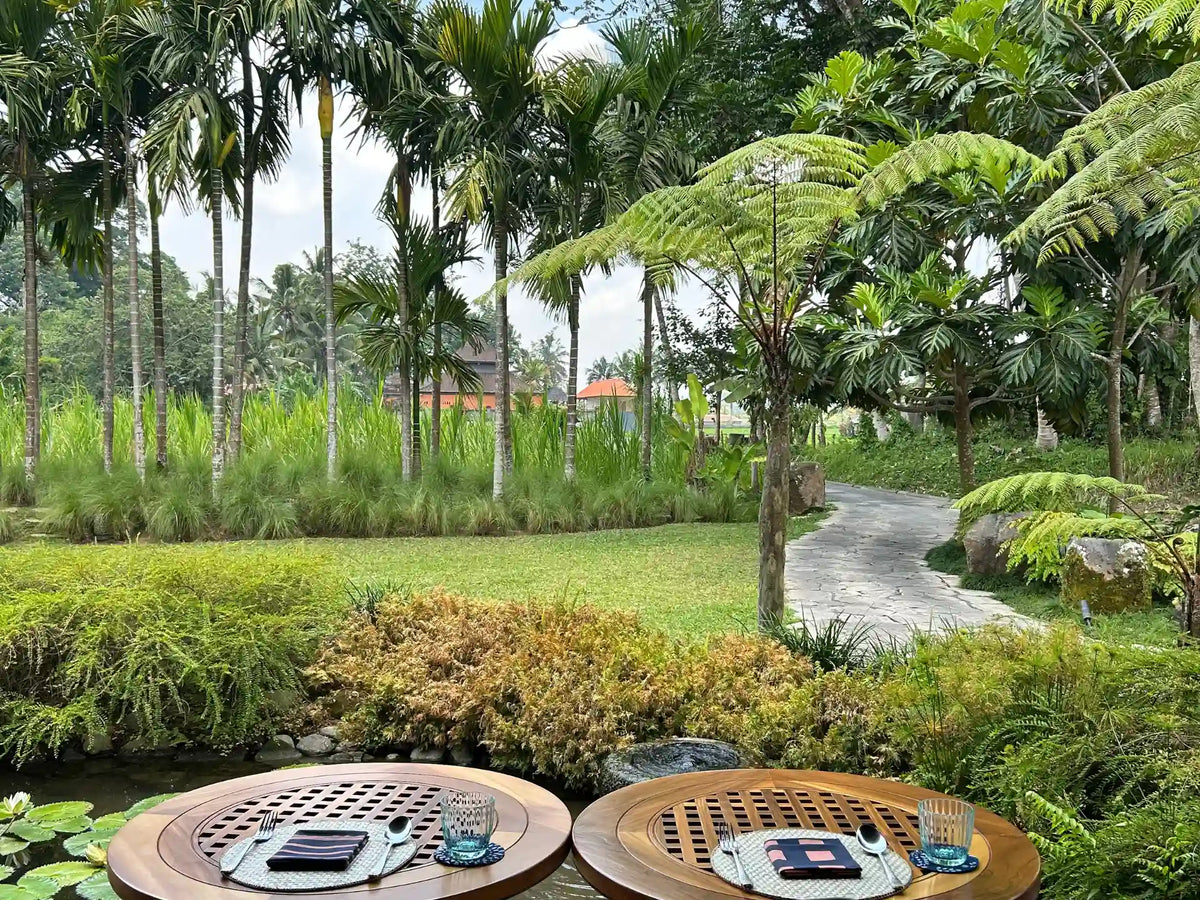 Birdwatching in Ubud and beyond: Discovering the island beyond Its Familiar Attractions