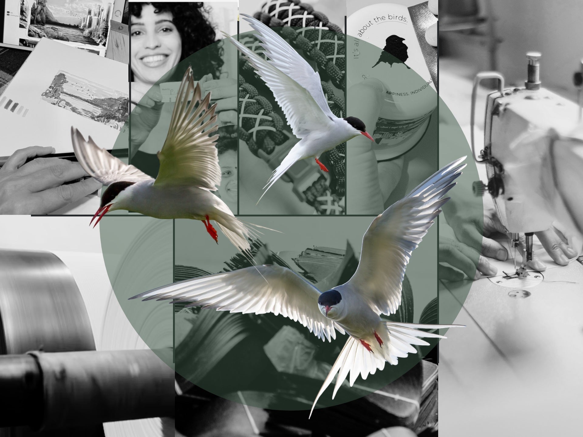 Main Banner of Lyfer Avian Journal on our Manufacturers