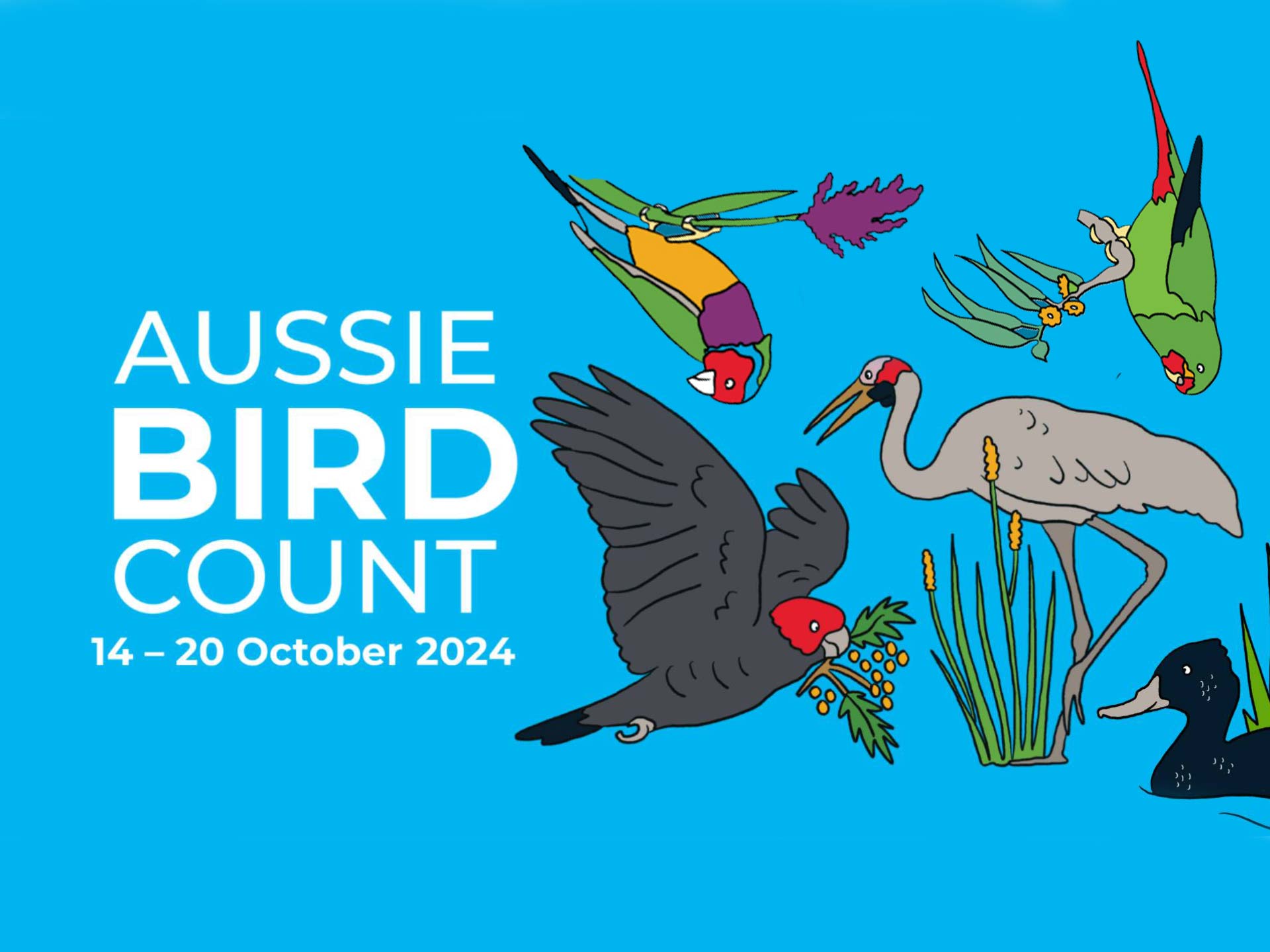 Aussie Bird Count official banner for 2024