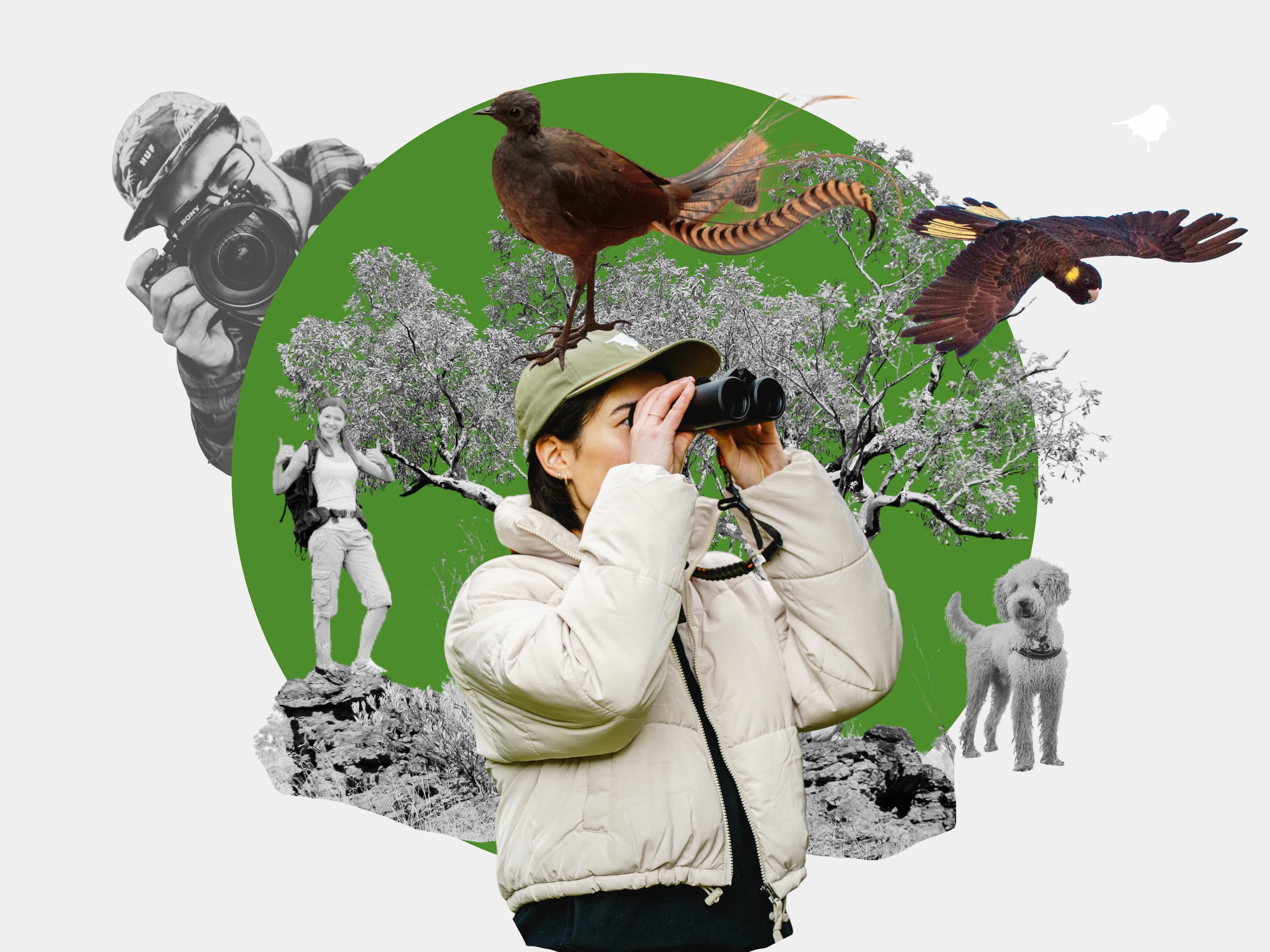Vol. 03 - How NOT to bird. Pardon Me, Bird Etiquette!