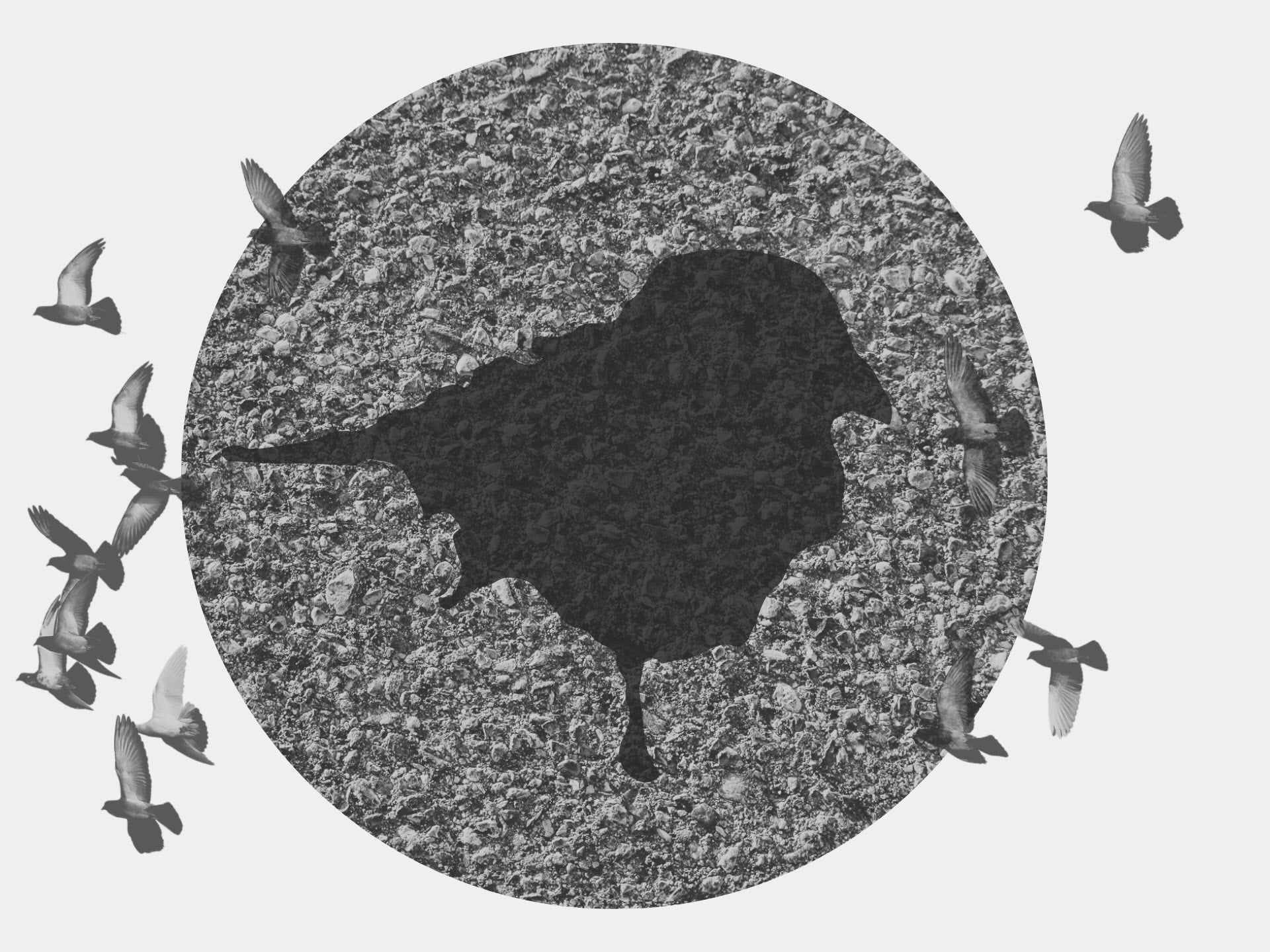 Image of the Lyfer Birdmark Logo