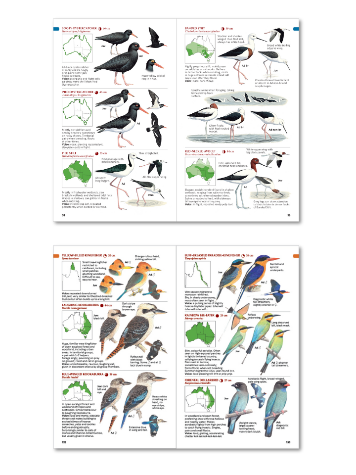 Internal pages of the Compact Bird Guide by CSIRO Publishing showing oystercatchers and kookaburras