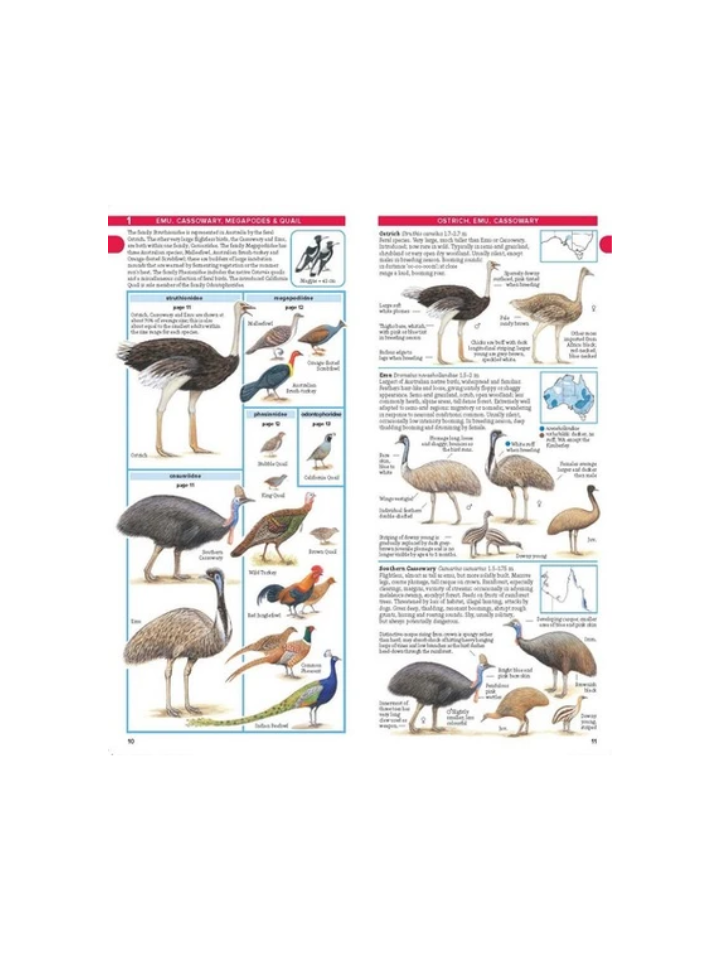 Compact Field Guide to Australian Birds - Latest Edition 3