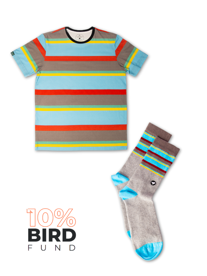 Endangered Range Bundle that includes the Golden-shouldered Parrot inspired casual socks and t-shirt.