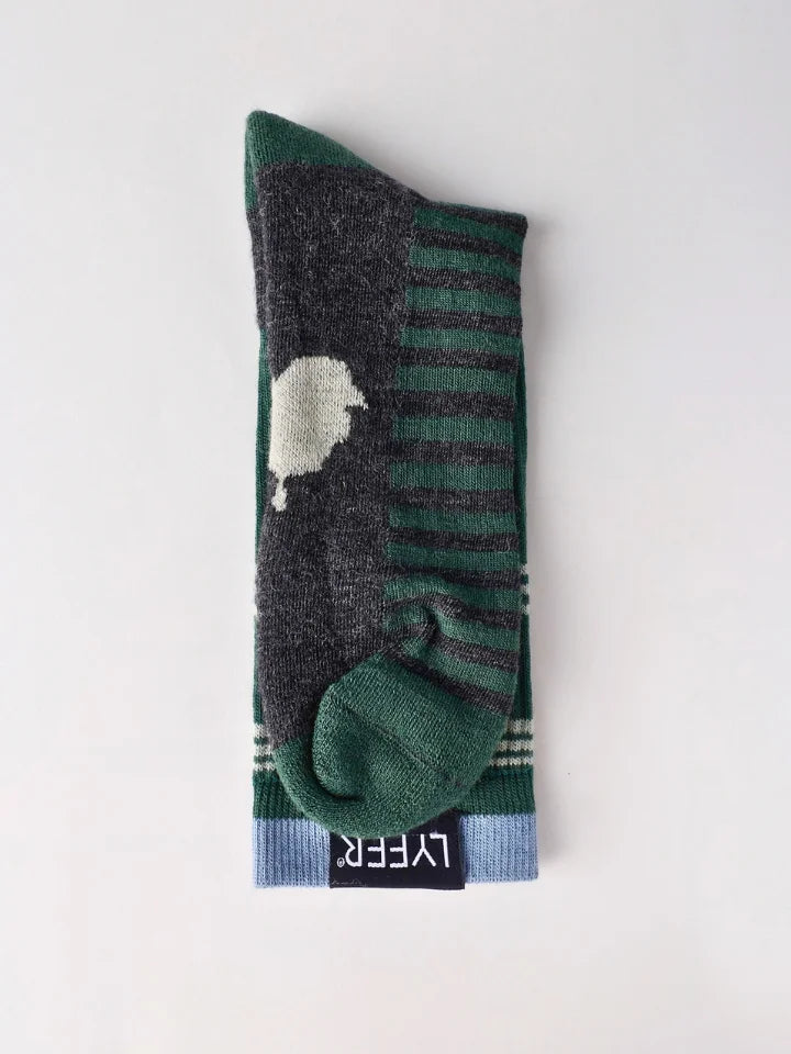 A single folded crew sock on a light gray background. The sock features a dark gray knit body with a green striped leg section, a green toe, and a light blue ribbed cuff with a black brand tag reading 'LYEER'.