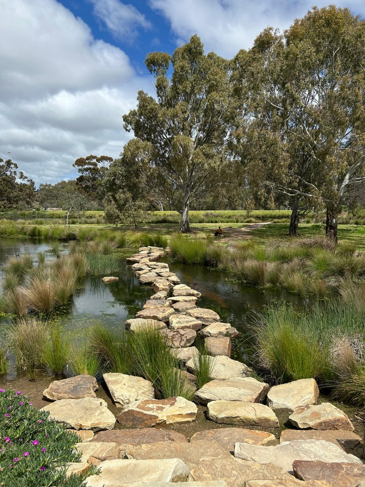 Stone path leading through a natural landscape with trees and water