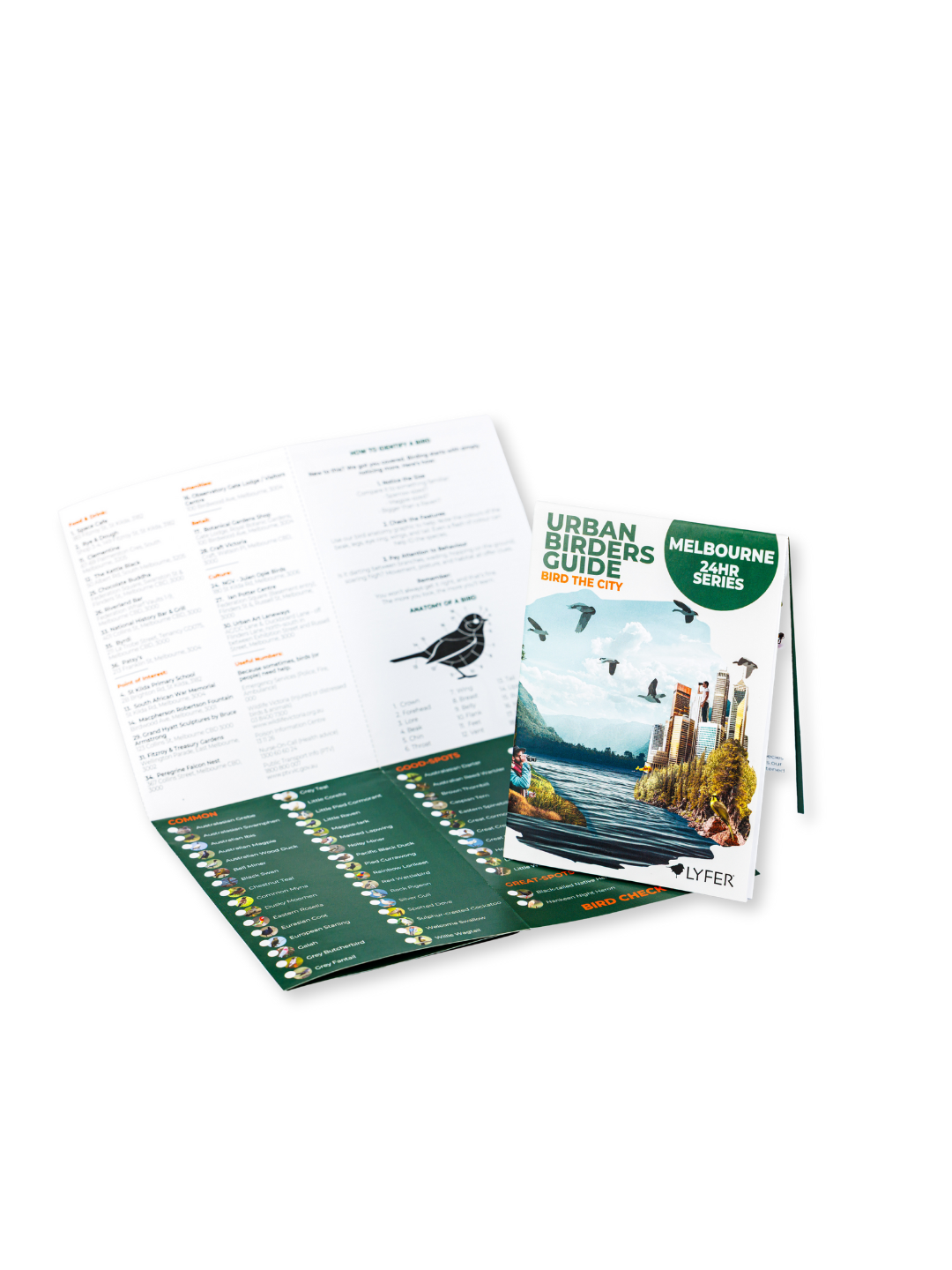 Urban Birders Guide: Bird the City – Melbourne - DOWNLOAD