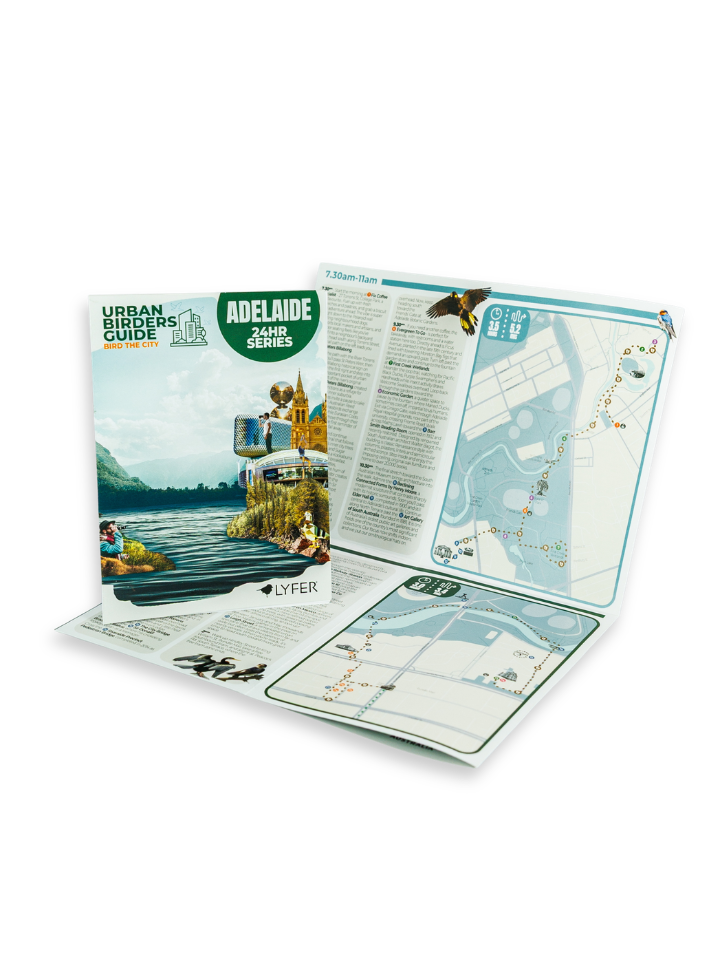 Open LYFER Urban Birders Guide guidebook with maps and images on a white background