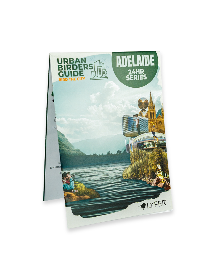 Booklet titled 'Urban Birders Guide Adelaide 24HR Series' by Lyfer on a white background