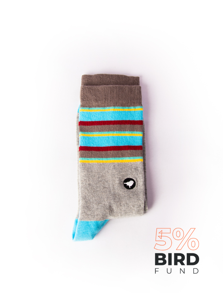 Lyfer Endangered Range Socks - Golden Shouldered Parrot - Birdwatching socks