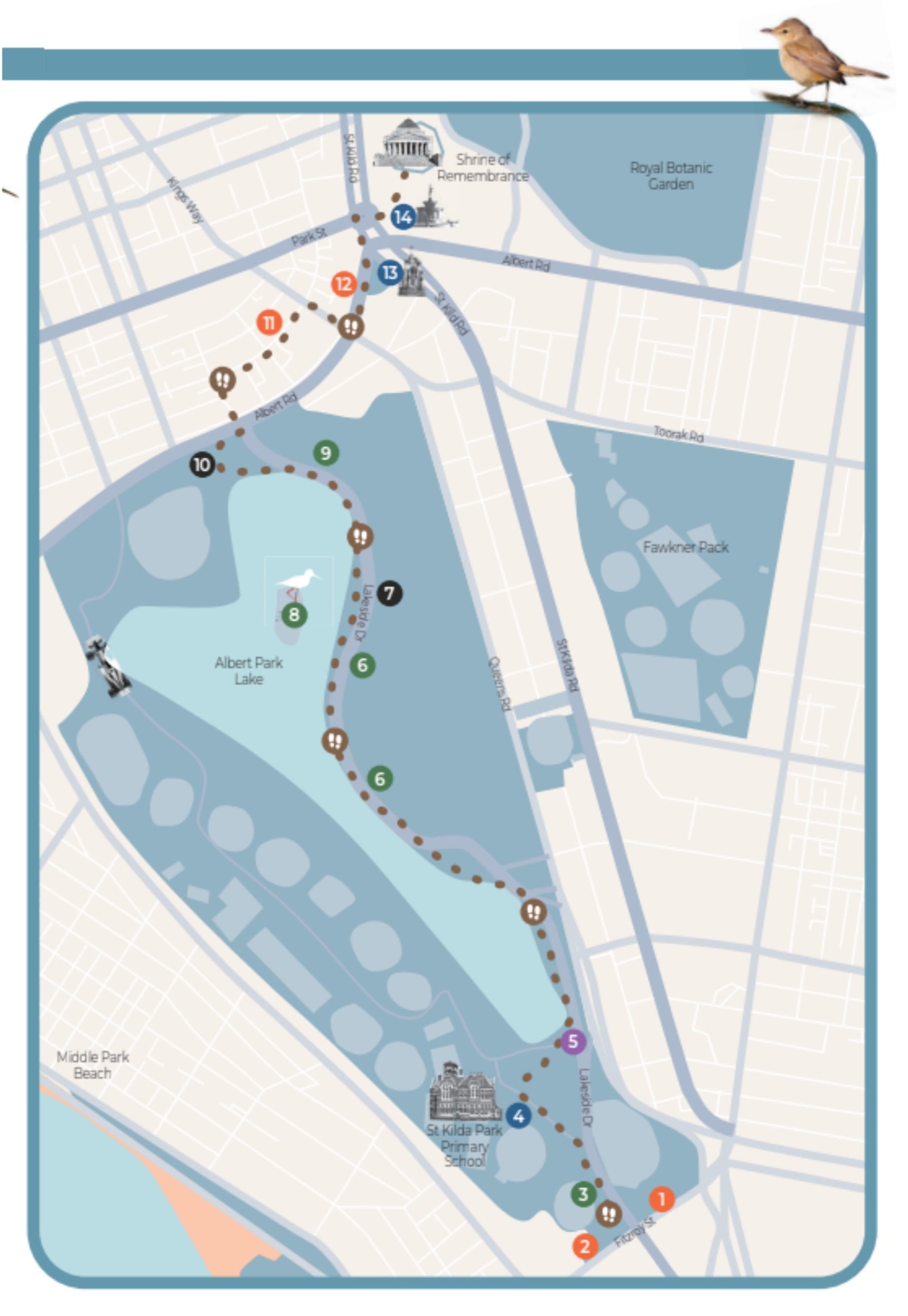 Urban Birders Guide: Bird the City – Melbourne