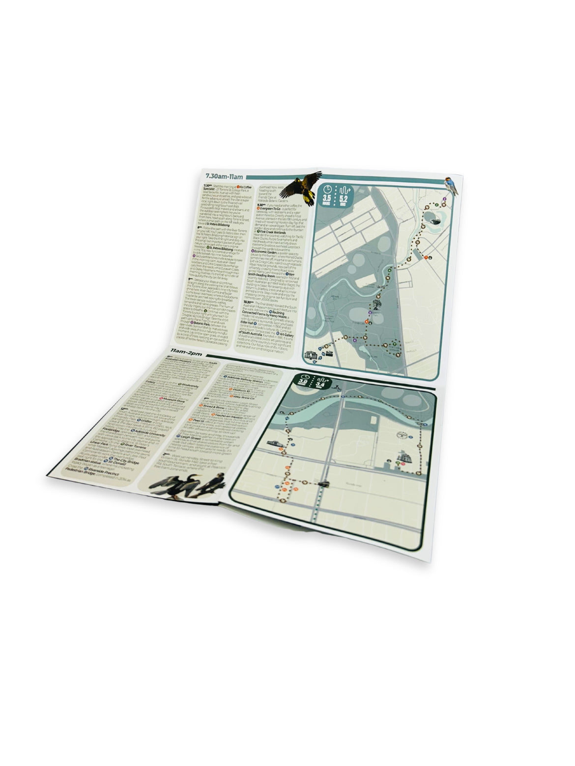 Urban Birders Guide – Bird the City: Adelaide (Printed Edition)