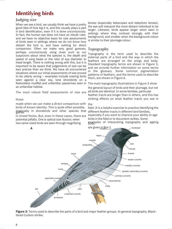 The Australian Bird Guide